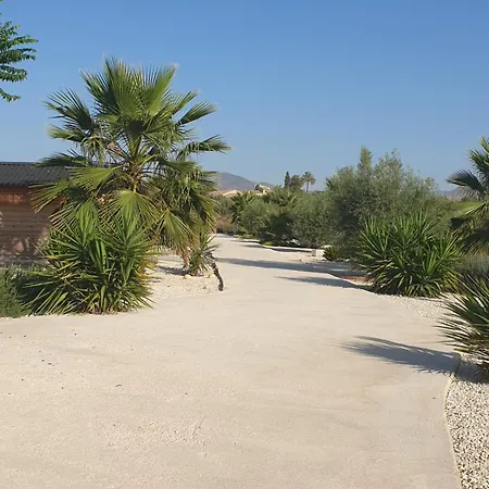 Casa De La Vida Liebetruth A Aspe