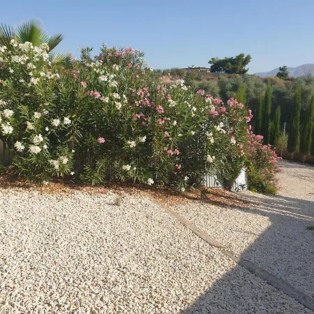 Casa De La Vida Liebetruth A Aspe